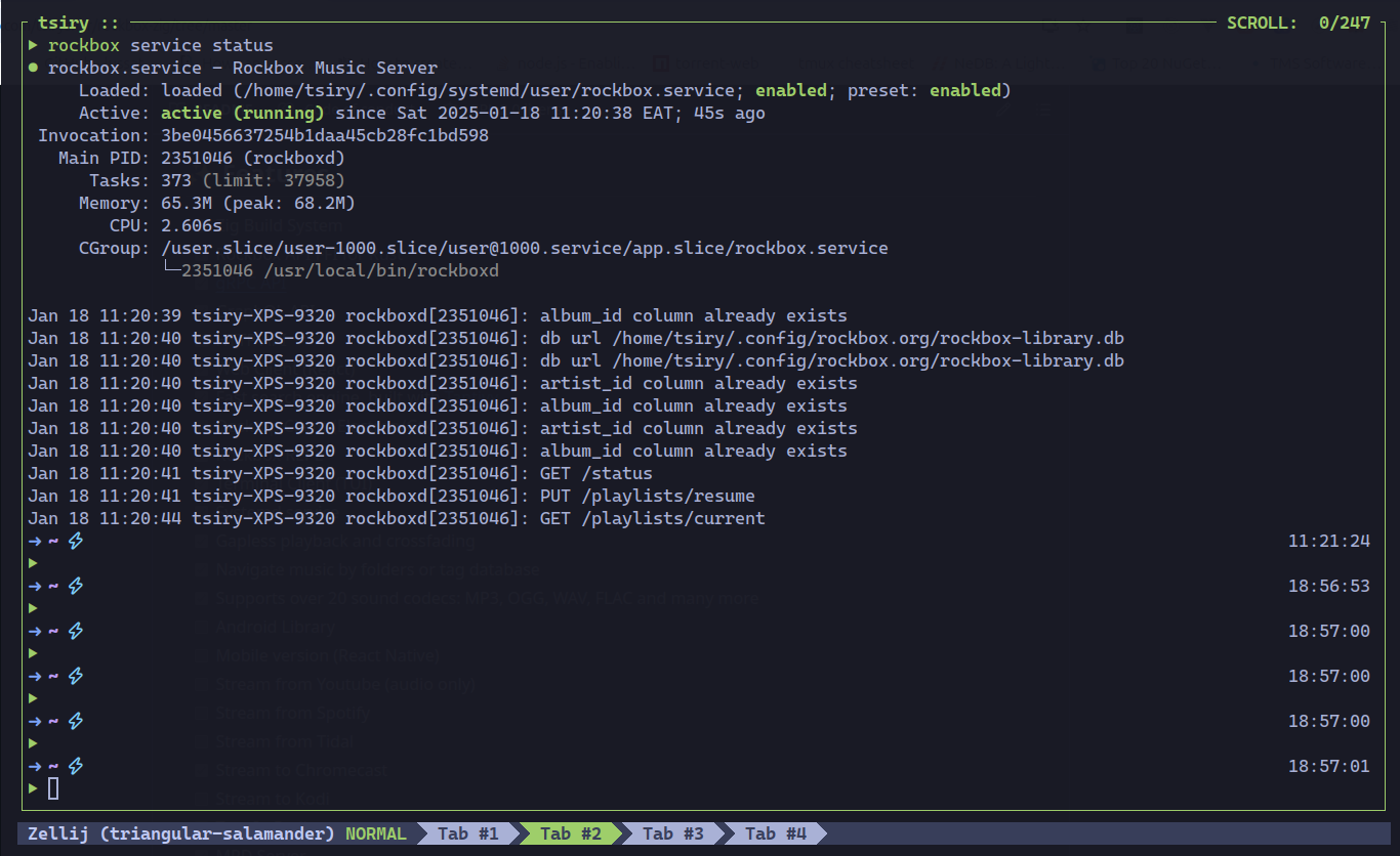 Screenshot from 2025-01-18 18-57-39