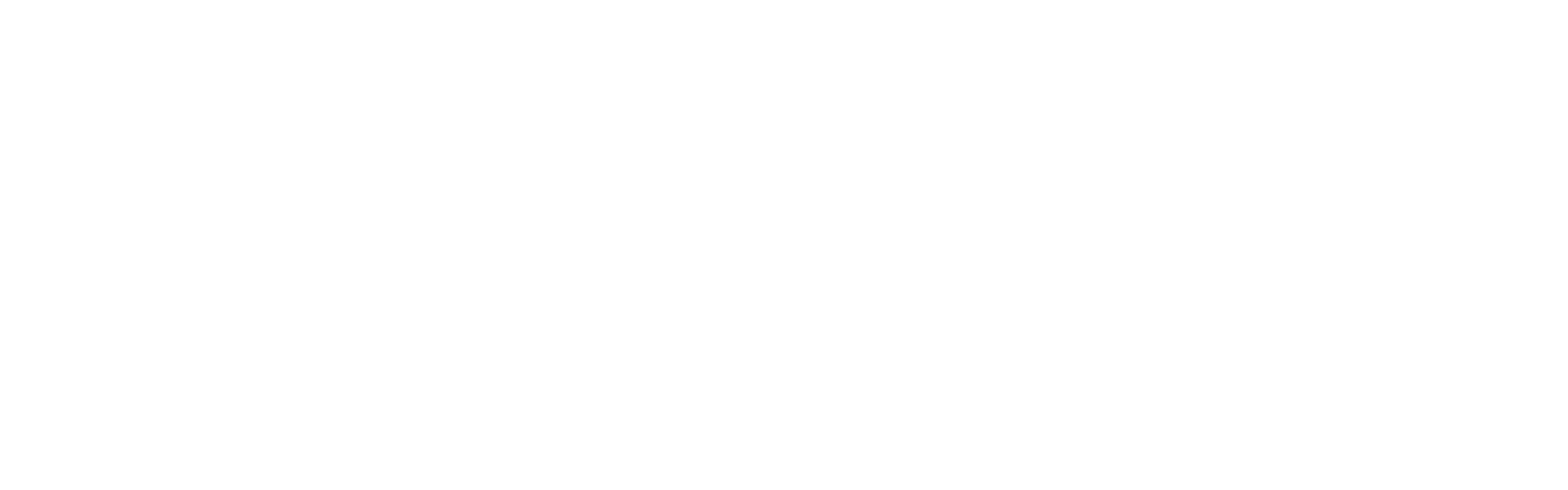 Brainmade logo
