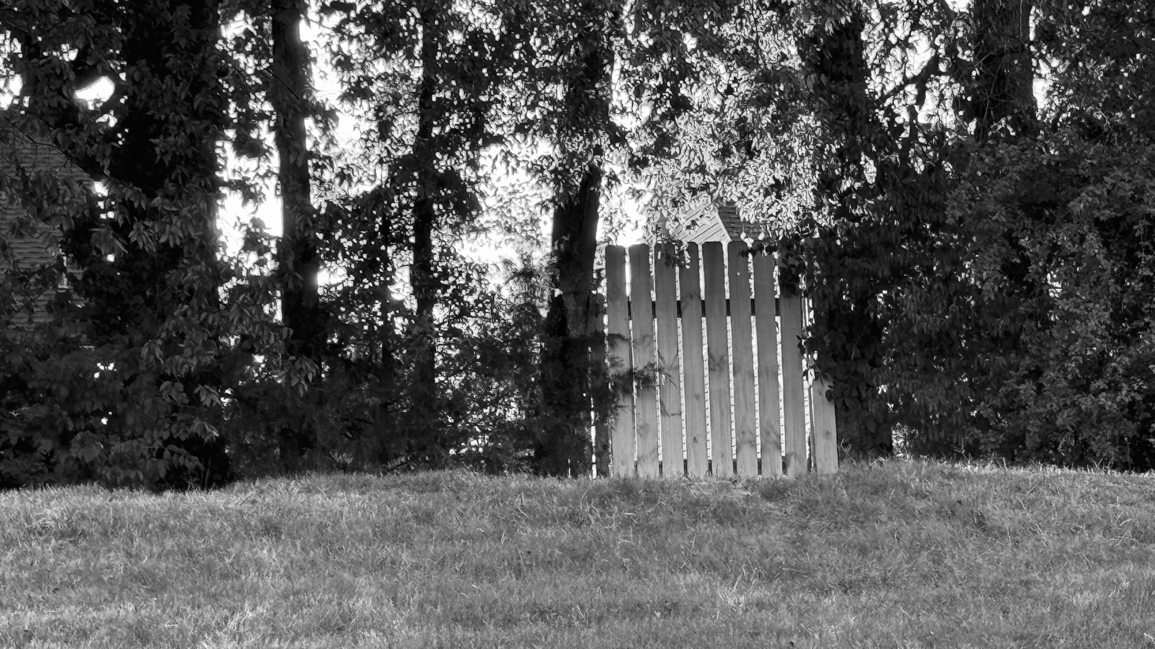 Picture in black and white of a grassy hill with a gate at the top