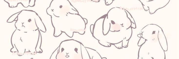 public/headers/bunny.jpg