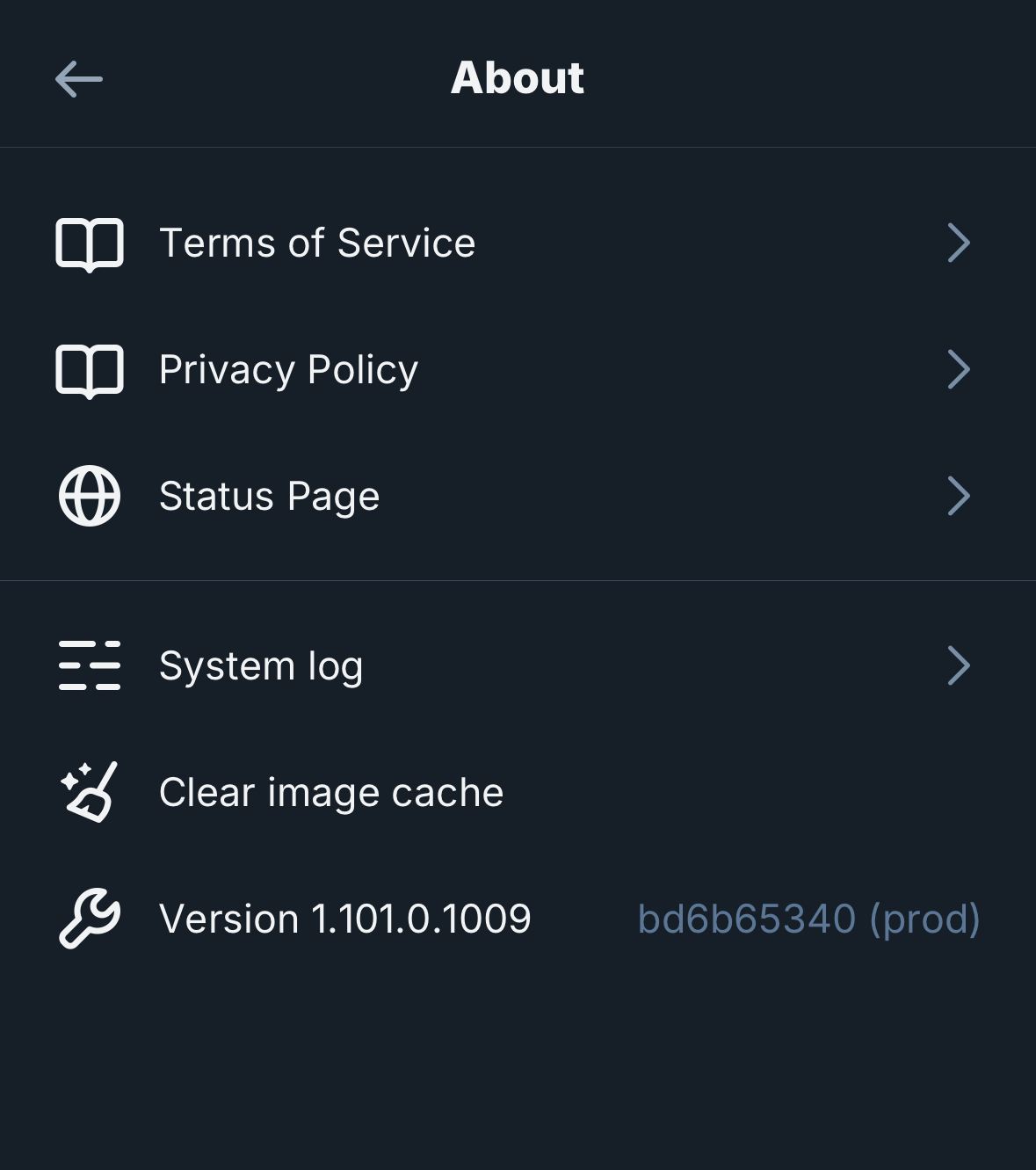 docs/img/ios_settings_about.jpeg