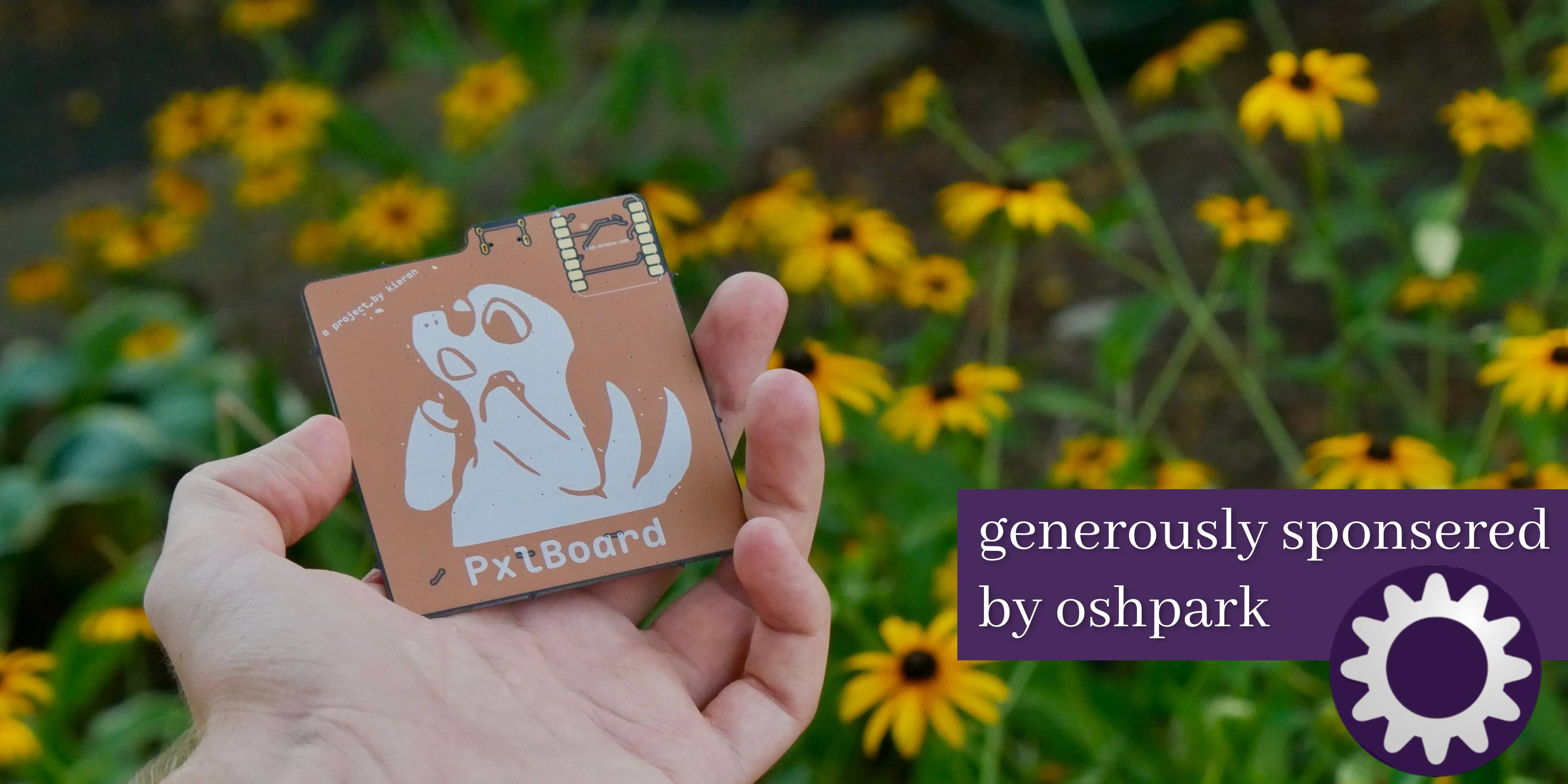 the back of the pcb held in my hand over some black eyed susans